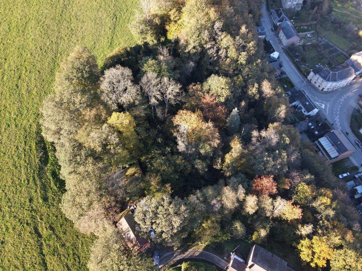 Gites Douillets A L'Oree Des Bois. ウイエ エクステリア 写真